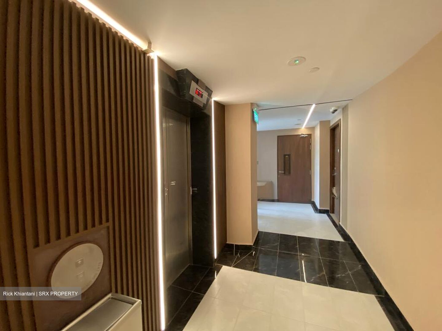 Mount Elizabeth Link (D9), Condominium #497013701